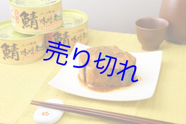 画像1: 鯖味付缶詰味噌煮1缶-福井県の特産品ー越前のうまいもの大好き (1)